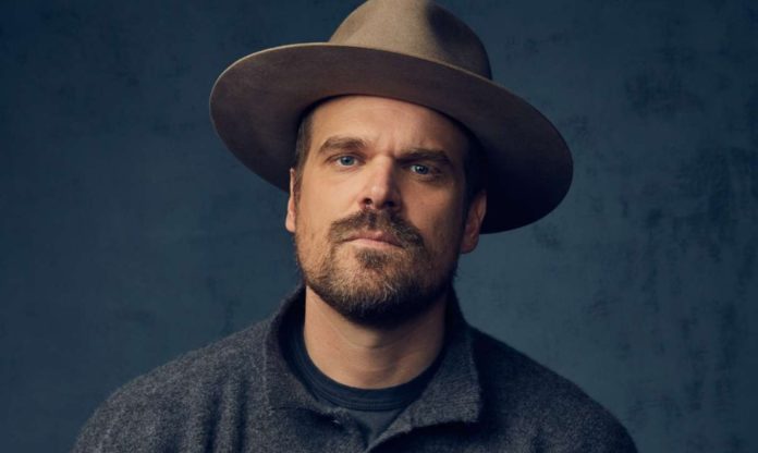 Next photo of David Harbour