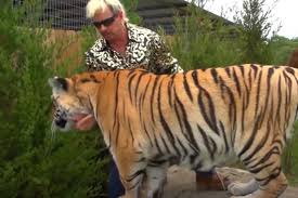 tiger king zoo 3