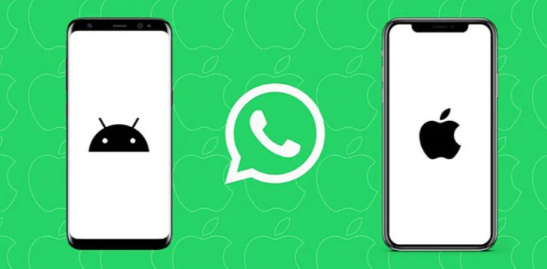 Backup WhatsApp data Locally on Android and iOS